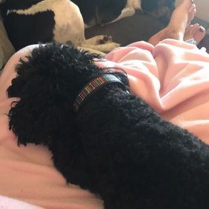 Meet your Posher, Amber